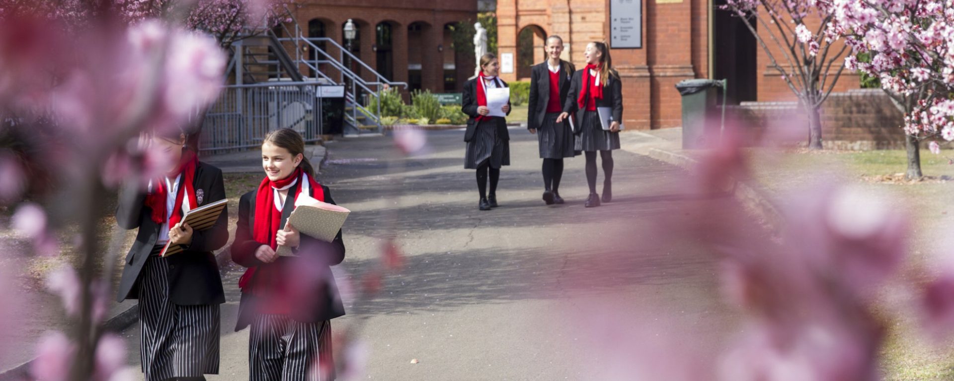 Santa for a Day featured image