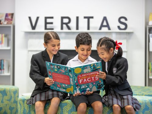 Governance featured image