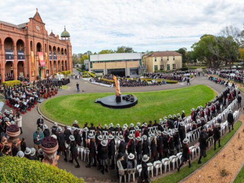 Newsletter featured image