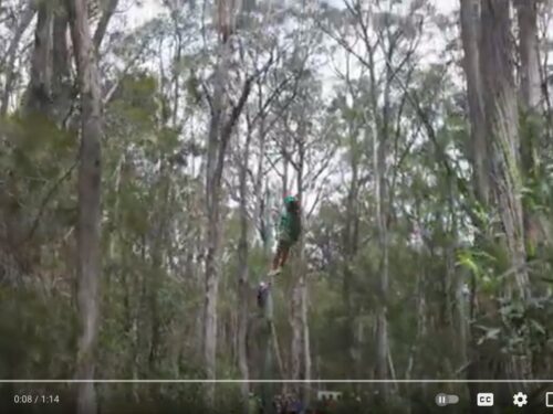 Tallong Open Day 2024