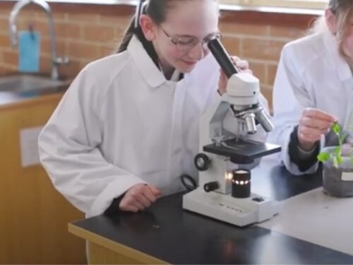 Empowering gifted and high potential learners