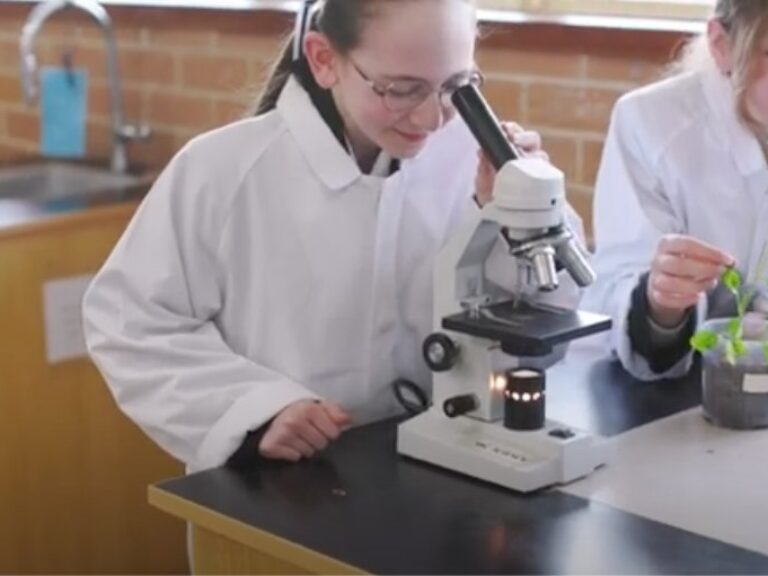 Empowering gifted and high potential learners